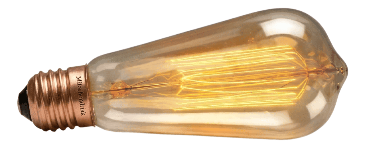 Parameters of incandescent bulb Mitochondriak